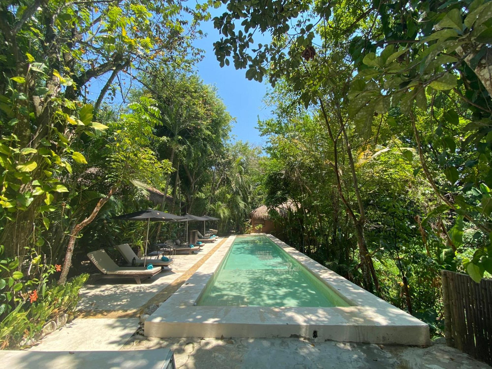 Piedra De Agua Palenque 호텔 외부 사진